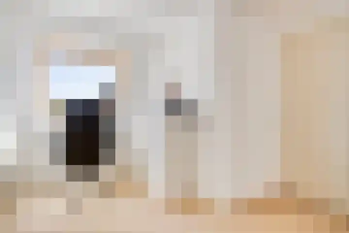 Schaarsbergendreef 3 Helmond thumbnail 39