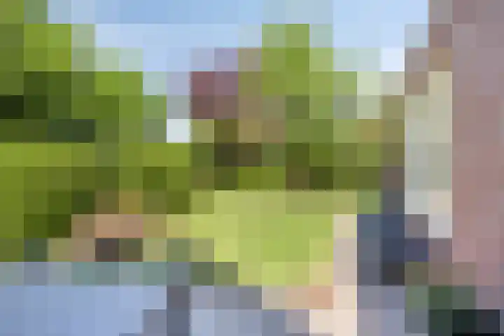 Schaarsbergendreef 3 Helmond thumbnail 40