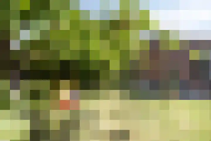 Schaarsbergendreef 3 Helmond thumbnail 42