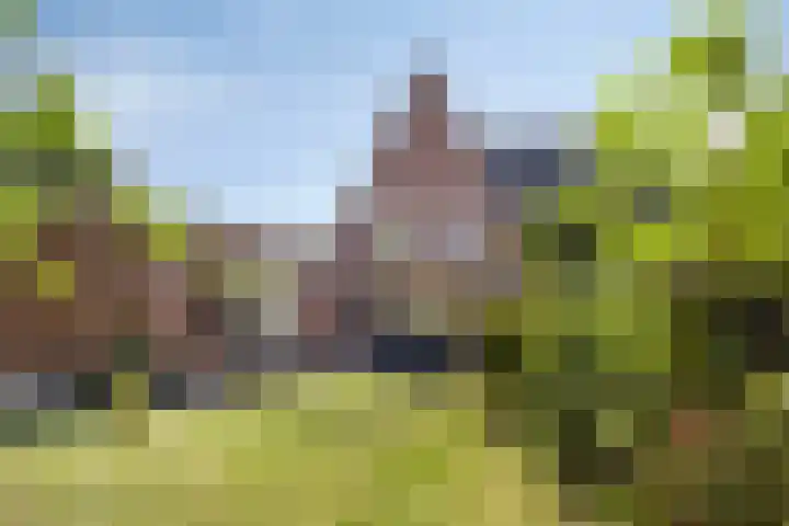 Schaarsbergendreef 3 Helmond thumbnail 43