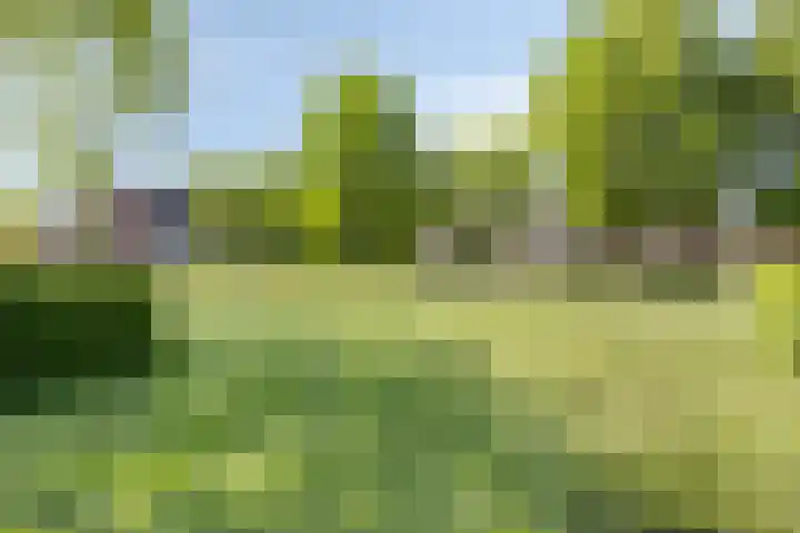 Schaarsbergendreef 3 Helmond thumbnail 44