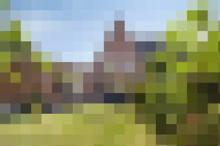 Schaarsbergendreef 3 Helmond thumbnail 6