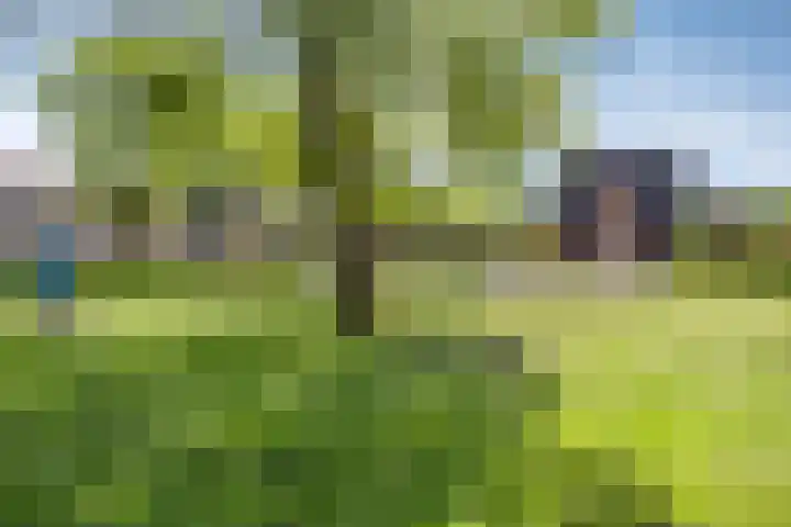 Schaarsbergendreef 3 Helmond thumbnail 7