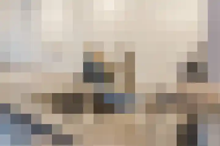 Schaarsbergenstraat 3 Tilburg thumbnail 10