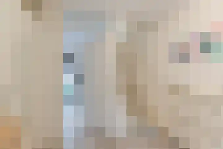 Schaarsbergenstraat 3 Tilburg thumbnail 12