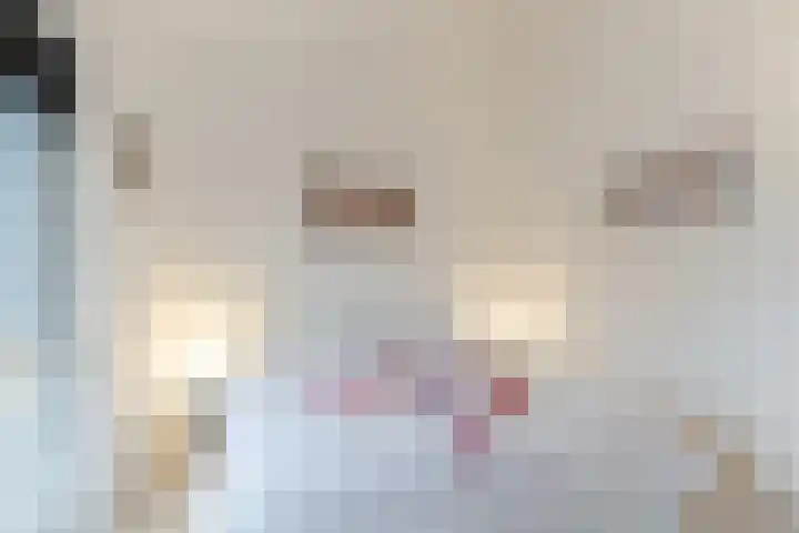 Schaarsbergenstraat 3 Tilburg thumbnail 18