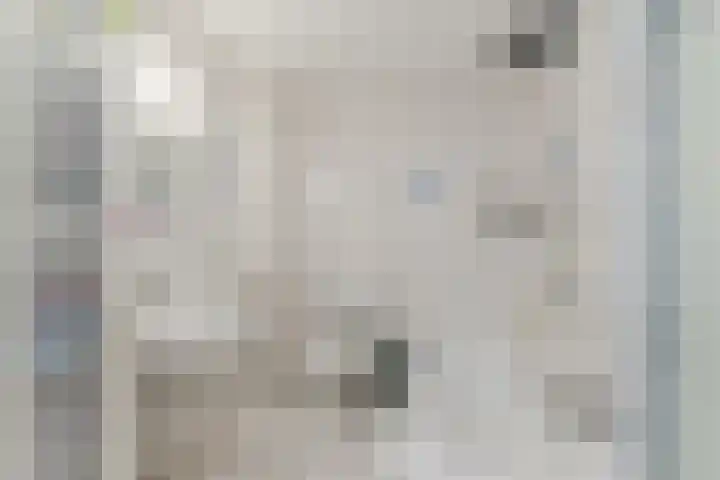 Schaarsbergenstraat 3 Tilburg thumbnail 20