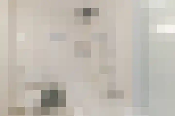 Schaarsbergenstraat 3 Tilburg thumbnail 21