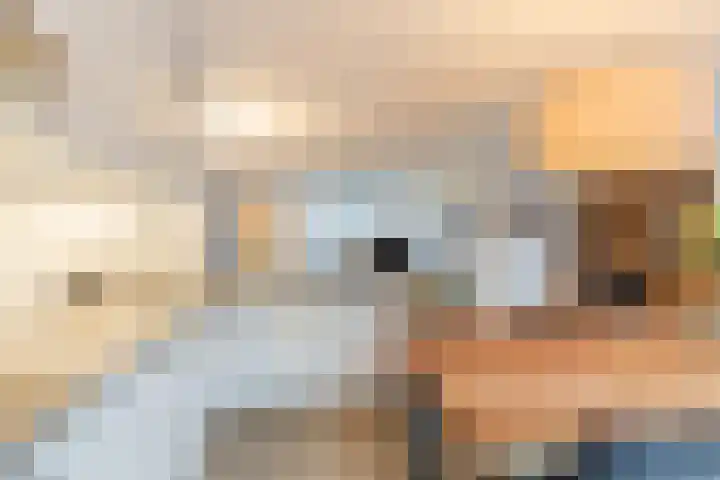 Schaarsbergenstraat 3 Tilburg thumbnail 9