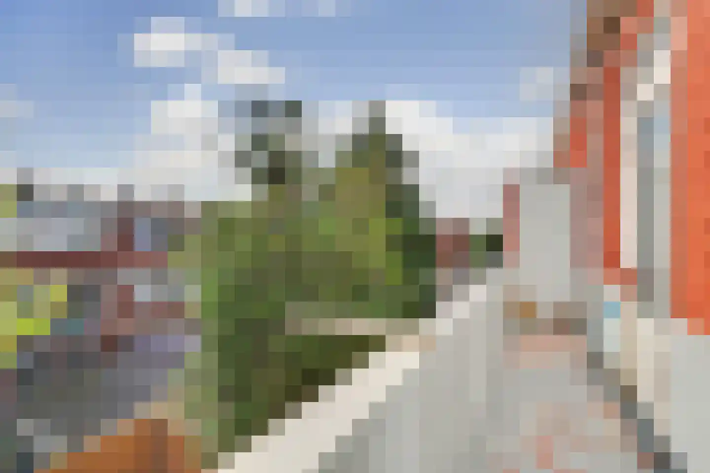 Schaarsbergenstraat 42 Den Haag thumbnail 32