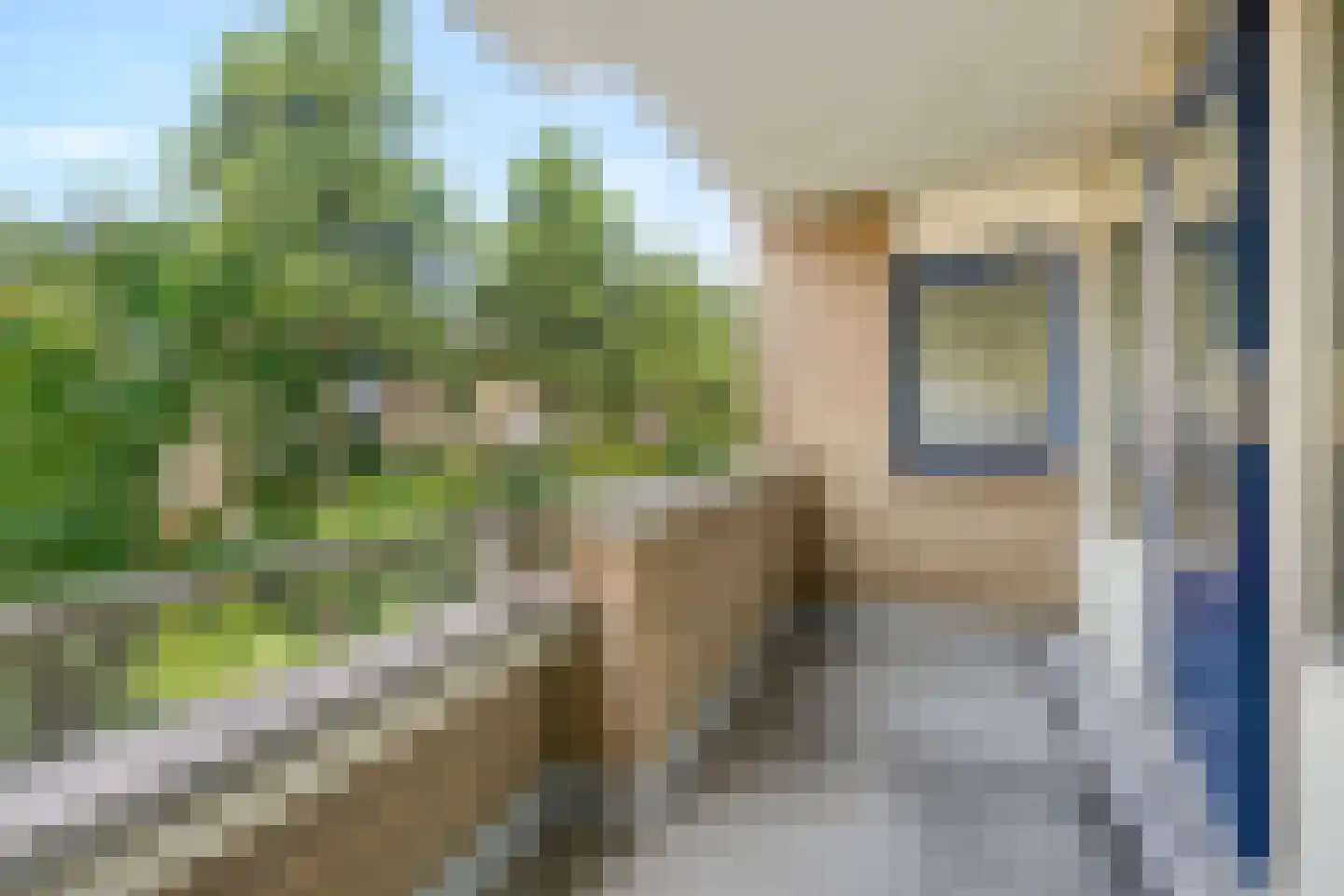 Schaarsbergenstraat 44 Amsterdam thumbnail 4