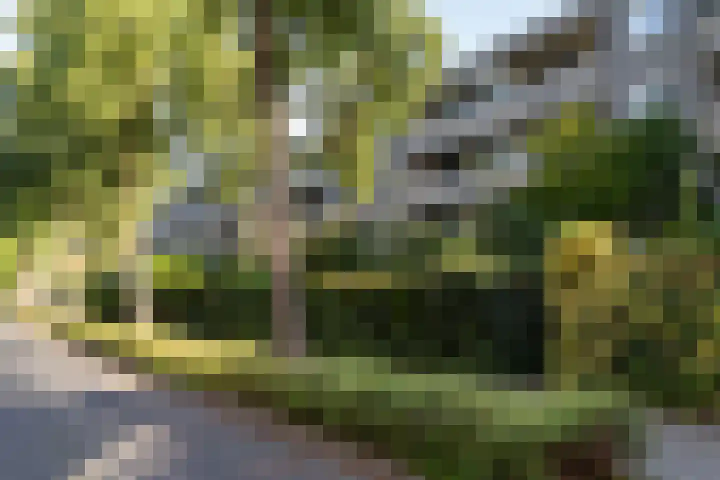 Schaarsbergenstraat 46 Amsterdam thumbnail 37
