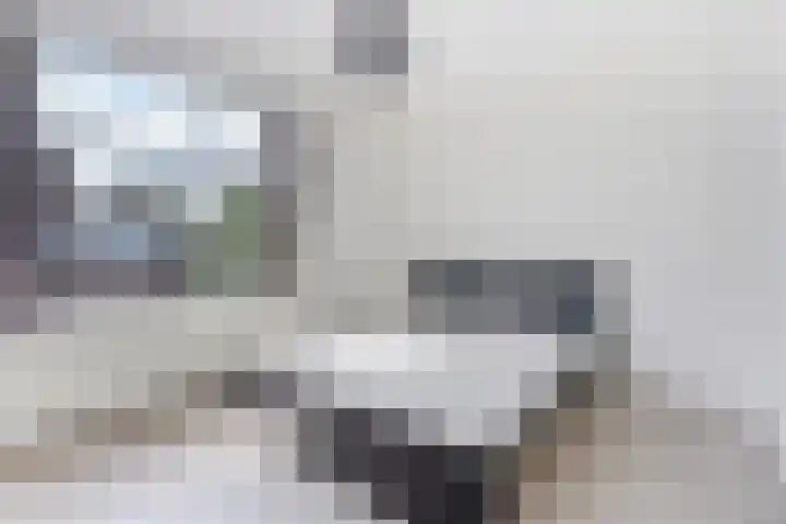 Schaarsbergenstraat 5 Den Haag thumbnail 5