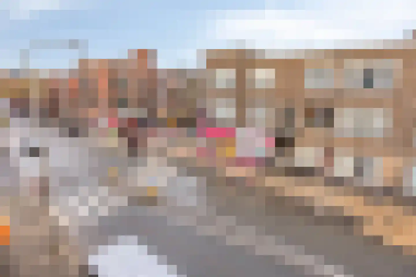 Schaarsbergenstraat 54 Den Haag thumbnail 28