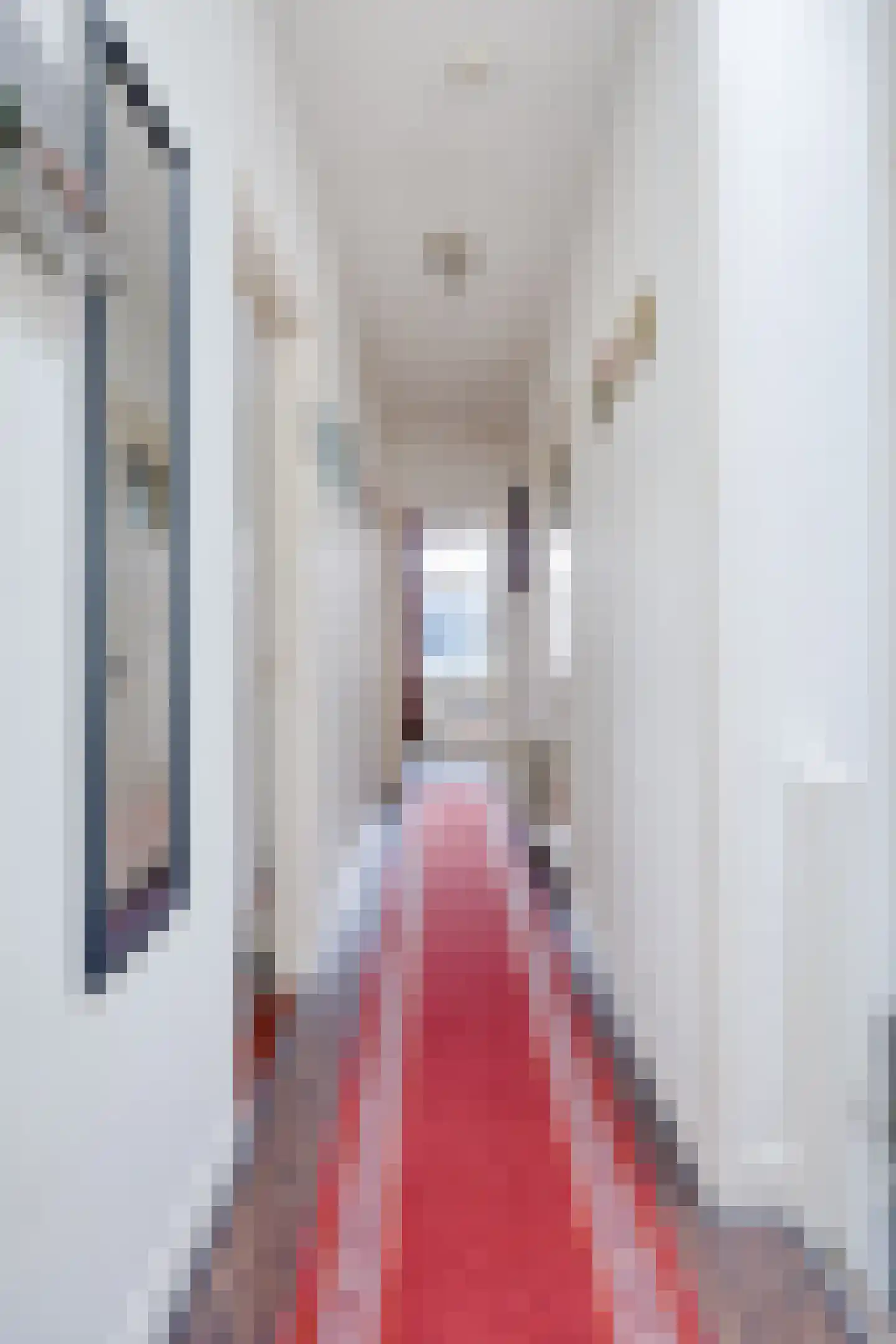 Schaarsbergenstraat 54 Den Haag thumbnail 5