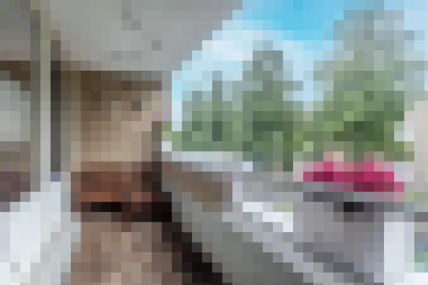 Schaarsbergenstraat 82 Amsterdam thumbnail 4