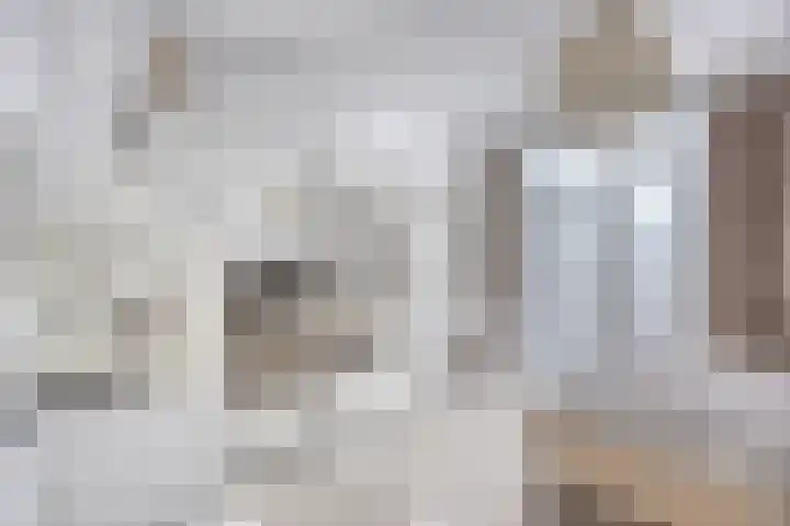 Schaarsbergenstraat 89 Den Haag thumbnail 6
