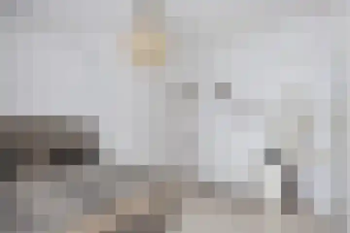 Schaarsbergenstraat 89 Den Haag thumbnail 8