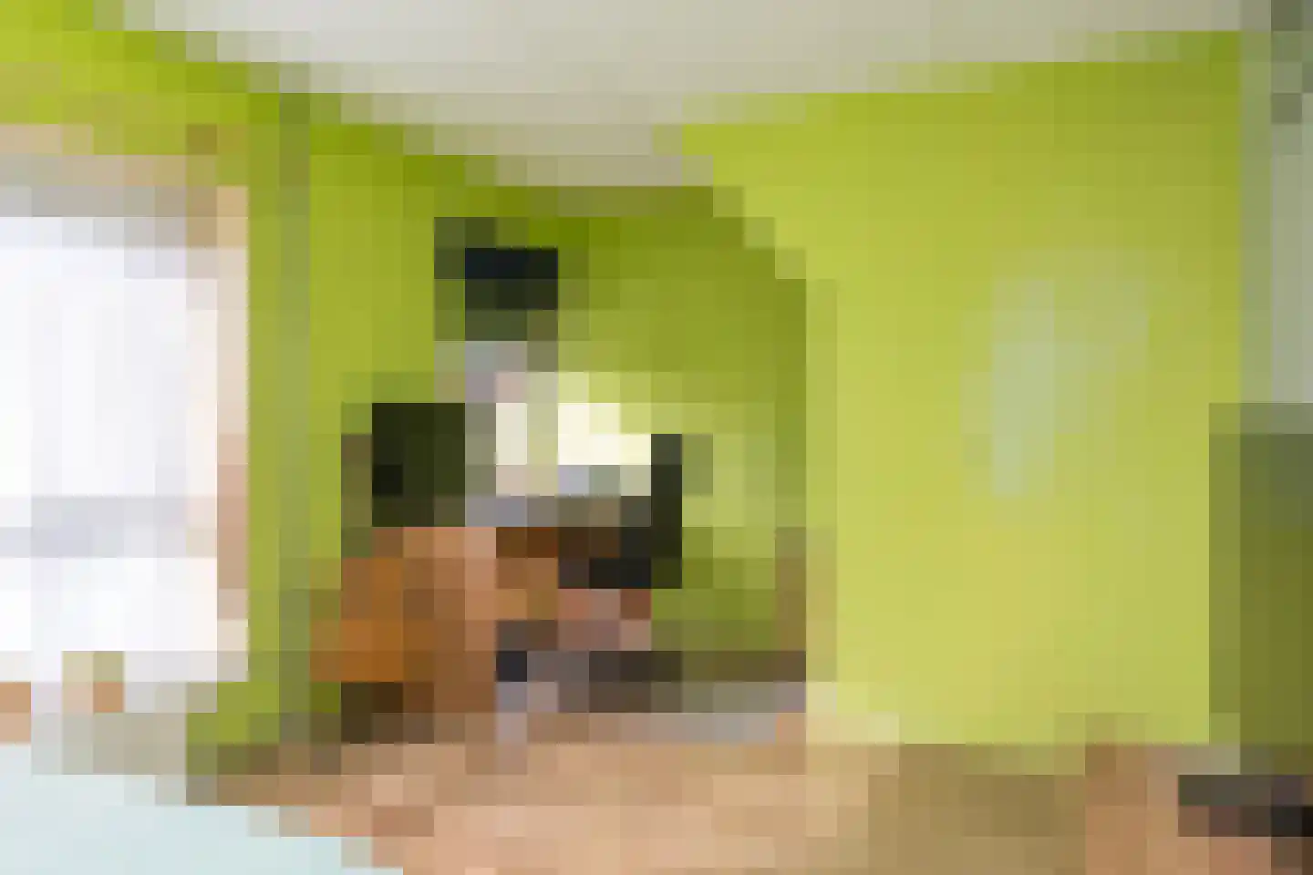 Schaarsbergenstraat 9 Tilburg thumbnail 18
