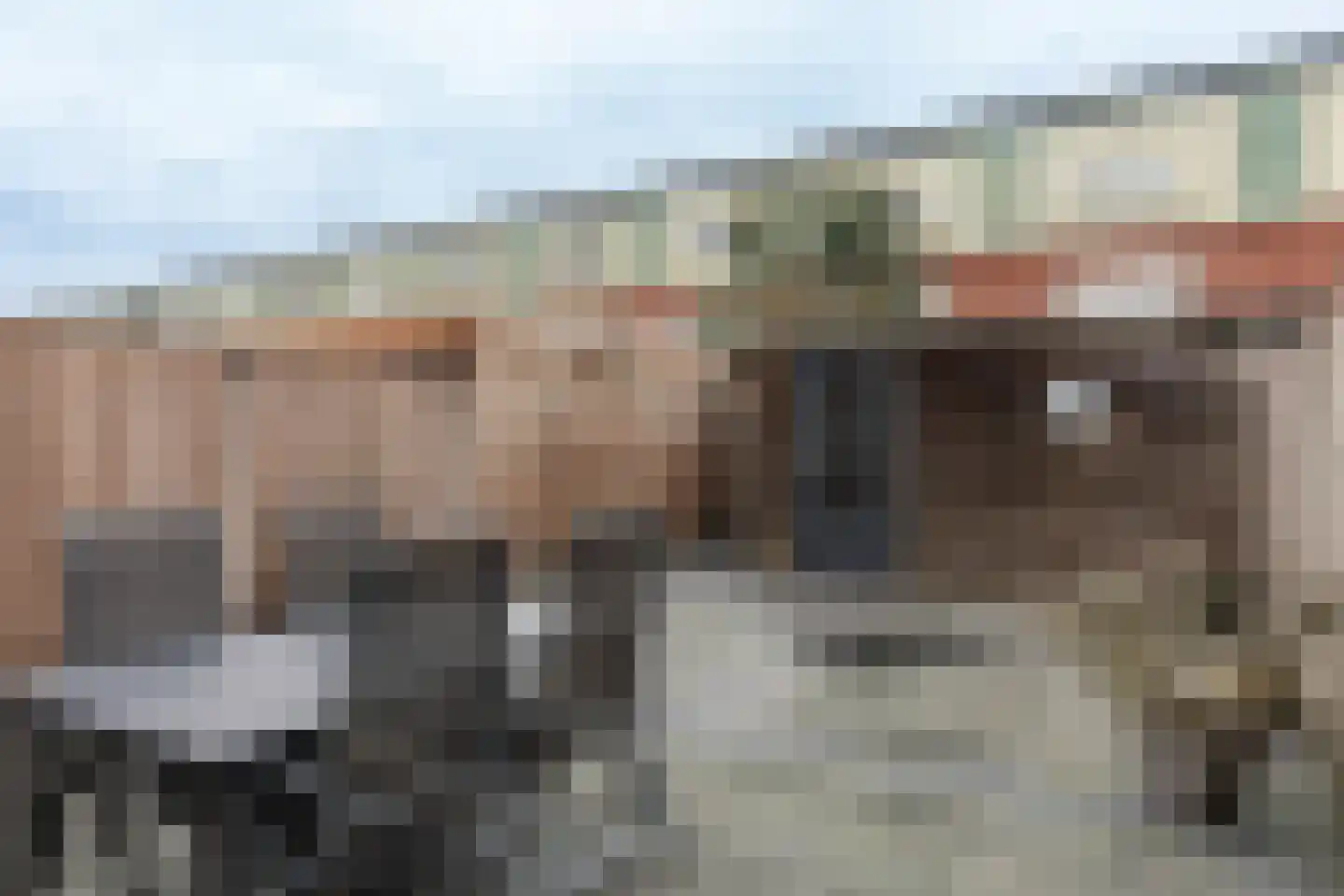 Schaarsbergenstraat 9 Tilburg thumbnail 28