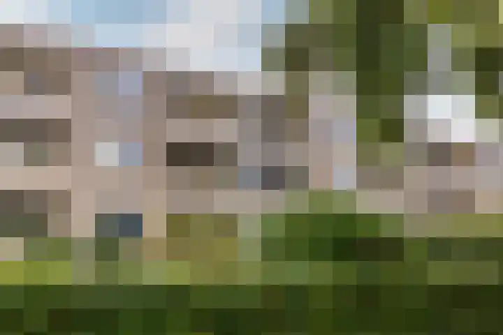 Schaarsbergenstraat 98 Amsterdam thumbnail 5