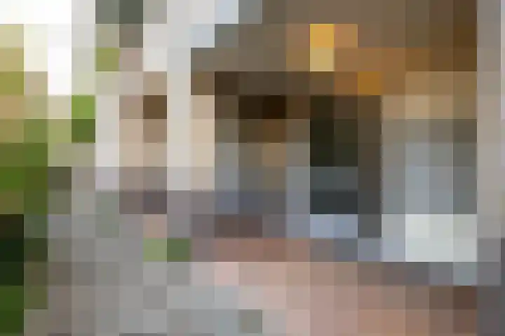 Schaarsbergenstraat 98 Amsterdam thumbnail 6