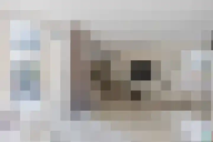 Schaarsven 10 Zaandam thumbnail 13