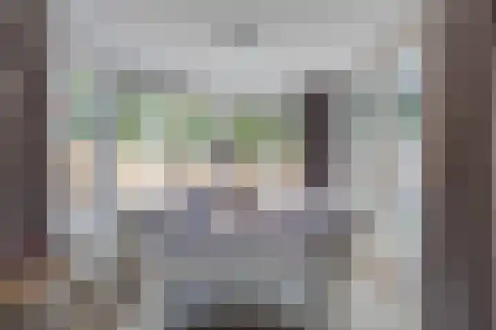Schaarsven 10 Zaandam thumbnail 14