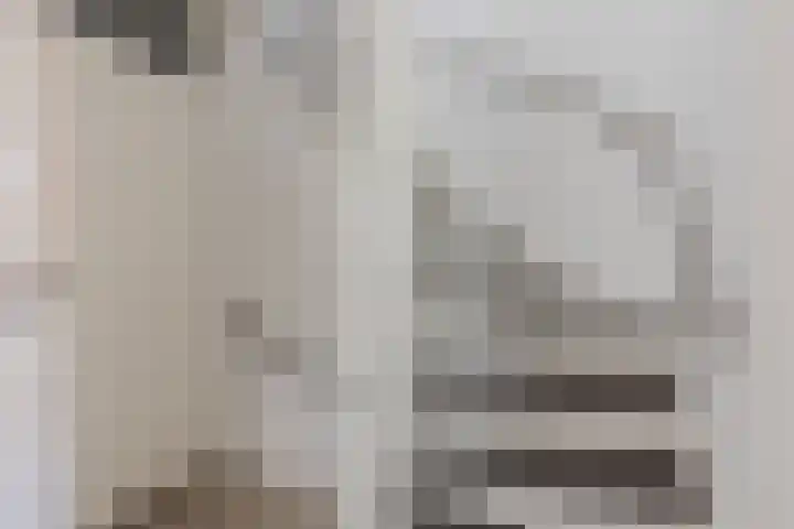 Schaarsven 10 Zaandam thumbnail 15