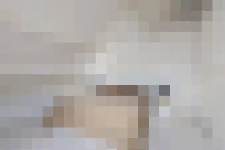 Schaarsven 10 Zaandam thumbnail 24