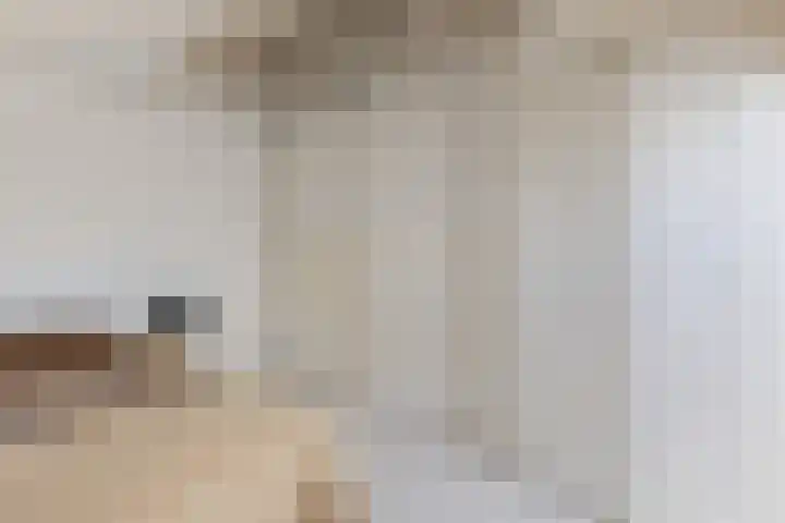 Schaarsven 10 Zaandam thumbnail 26