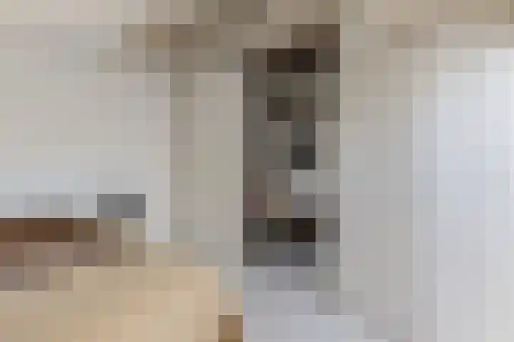 Schaarsven 10 Zaandam thumbnail 27