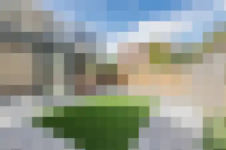 Schaarsven 10 Zaandam thumbnail 31