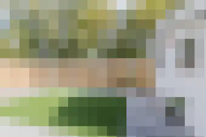 Schaarsven 10 Zaandam thumbnail 32