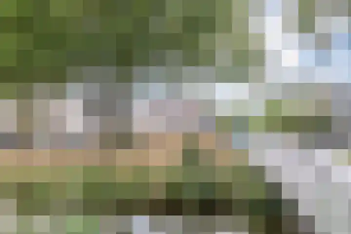 Schaarsven 10 Zaandam thumbnail 35