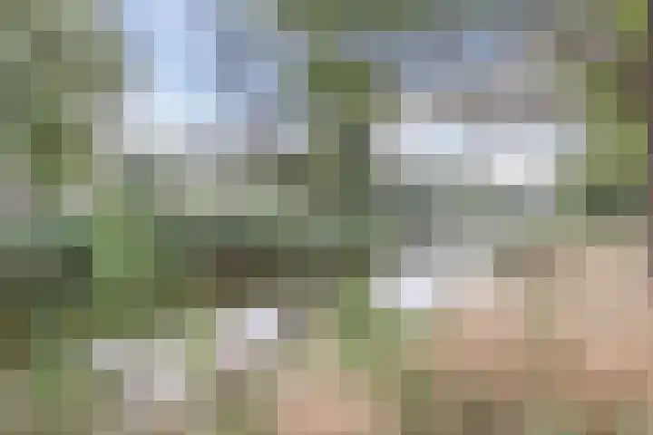 Schaarsven 10 Zaandam thumbnail 39