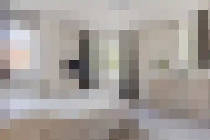 Schaarsven 10 Zaandam thumbnail 4