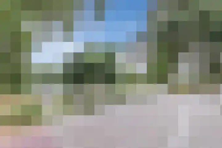 Schaarsven 10 Zaandam thumbnail 40