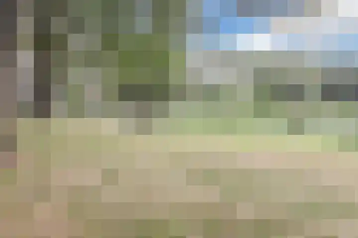 Schaarsven 10 Zaandam thumbnail 41