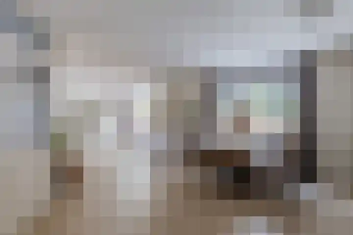 Schaarsven 10 Zaandam thumbnail 8