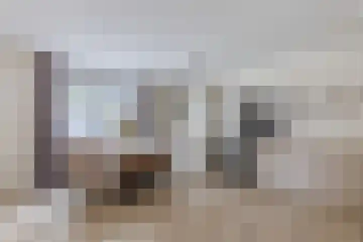 Schaarsven 10 Zaandam thumbnail 9