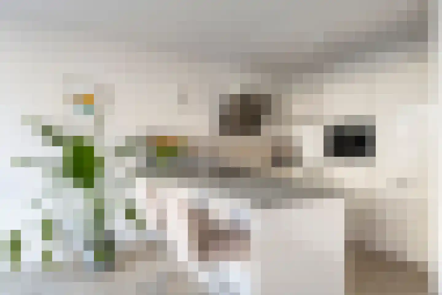 Schaarsven 6 Zaandam thumbnail 20