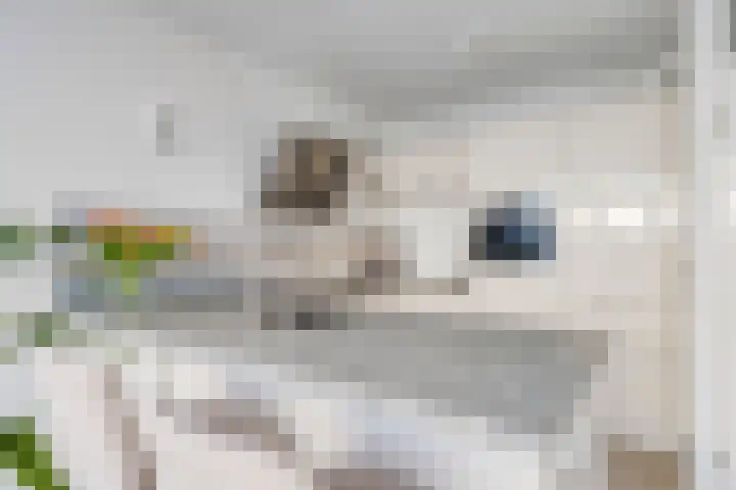 Schaarsven 6 Zaandam thumbnail 21