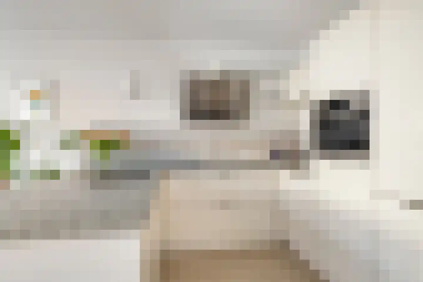 Schaarsven 6 Zaandam thumbnail 22