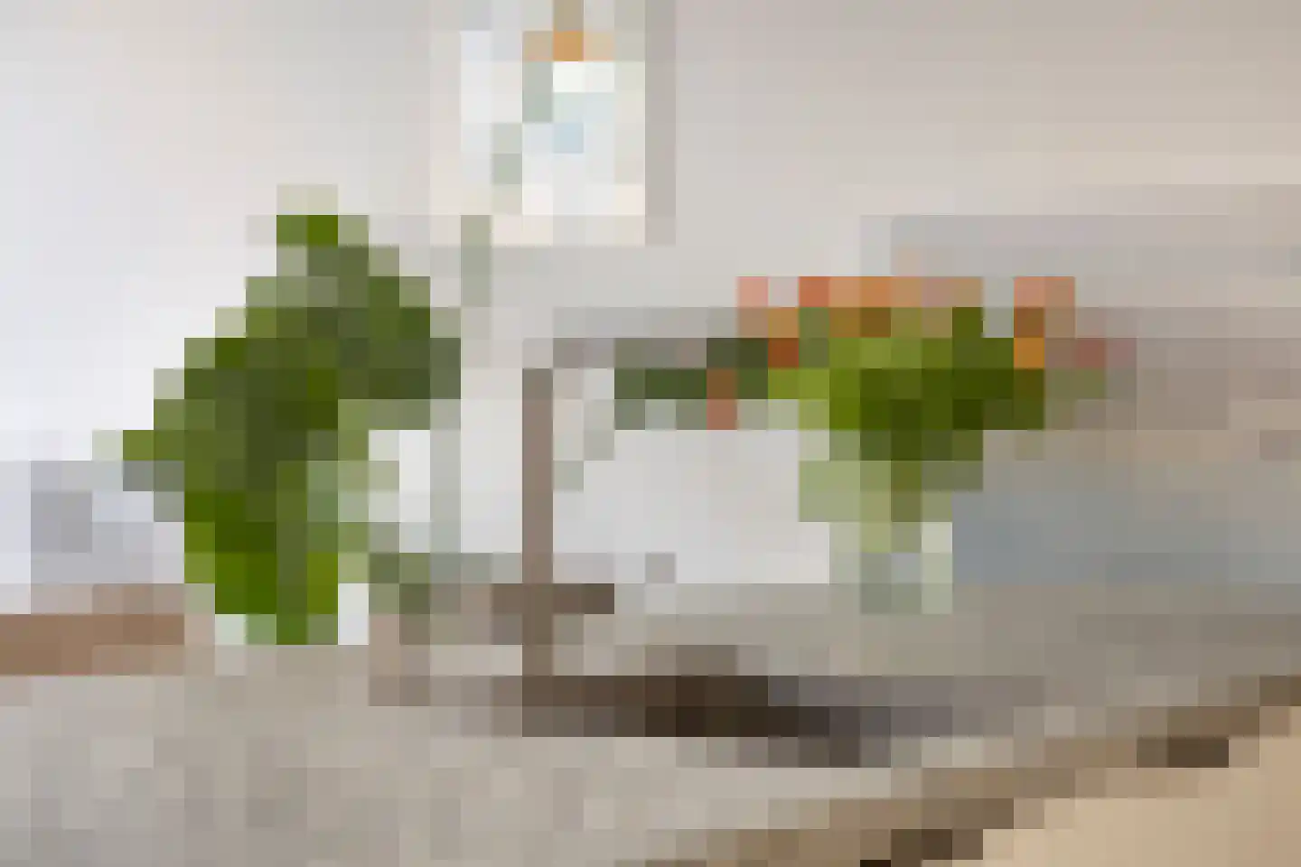 Schaarsven 6 Zaandam thumbnail 23