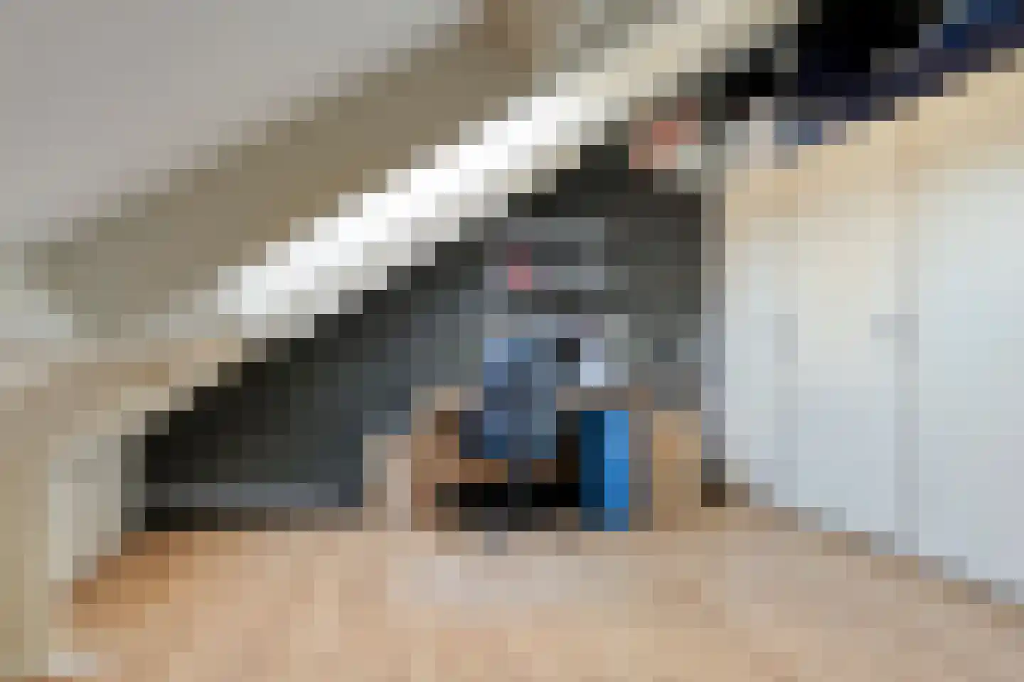 Schaarsven 6 Zaandam thumbnail 33
