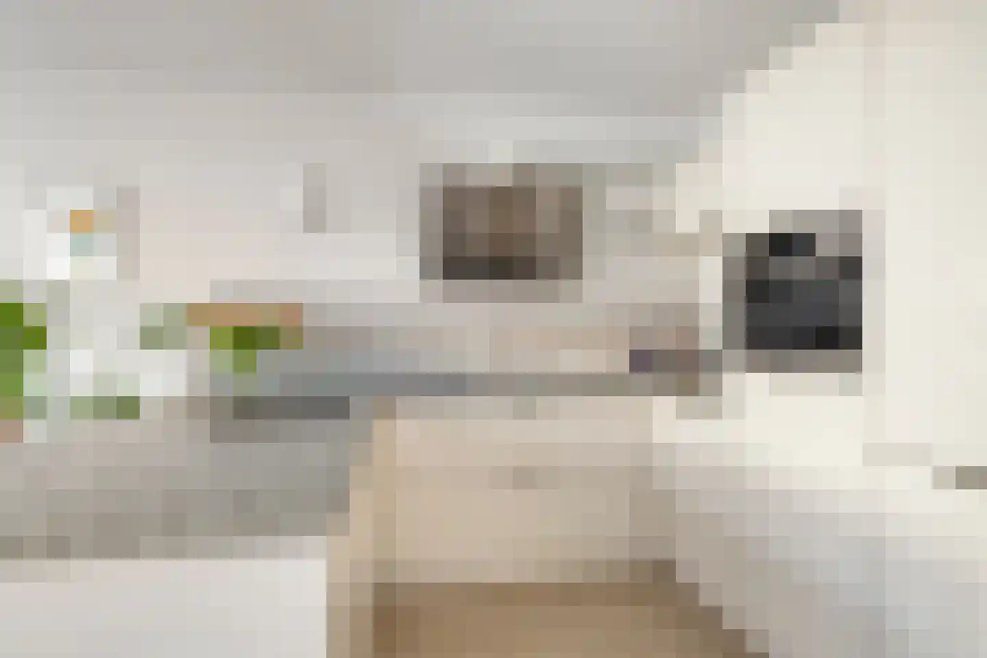 Schaarsven 6 Zaandam thumbnail 4