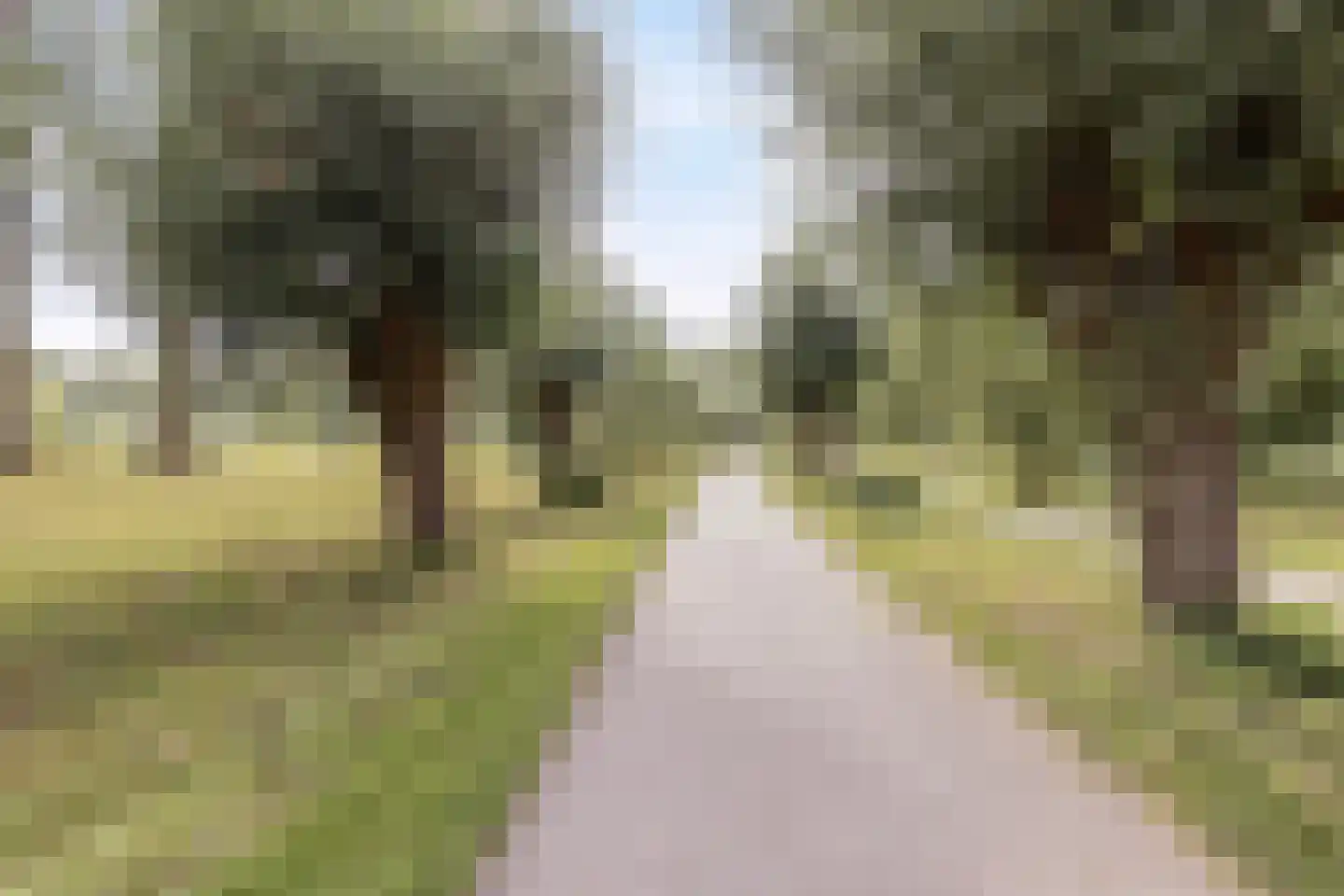 Schaarsven 6 Zaandam thumbnail 46
