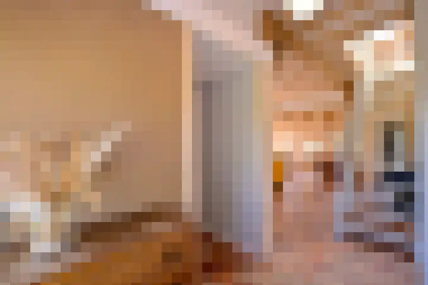 Schaarsweg 5 Nieuw Heeten thumbnail 11