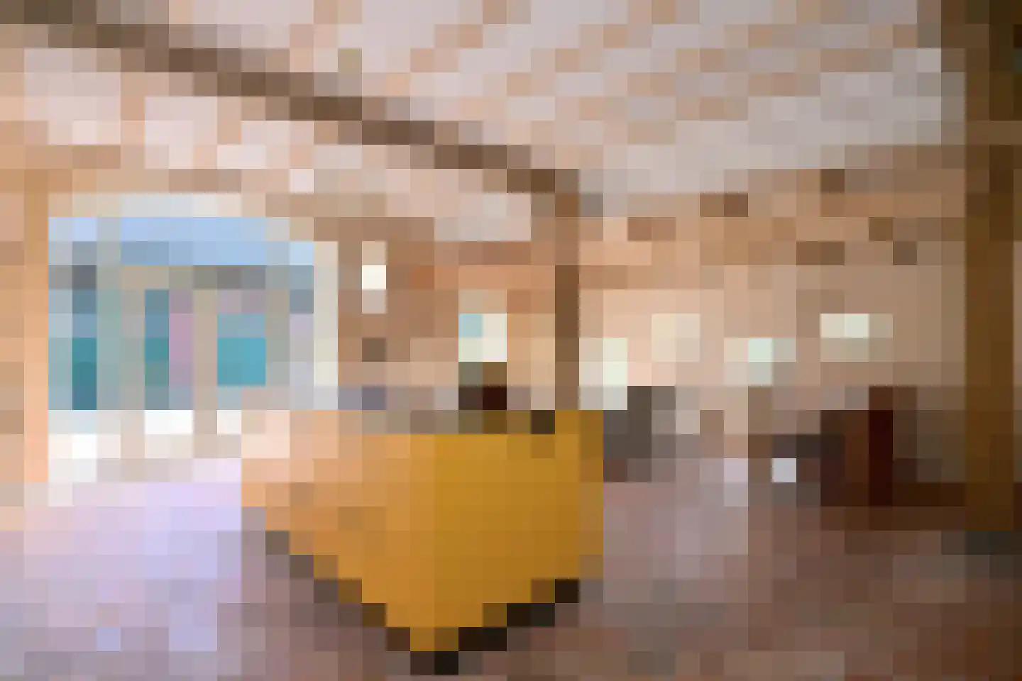 Schaarsweg 5 Nieuw Heeten thumbnail 12